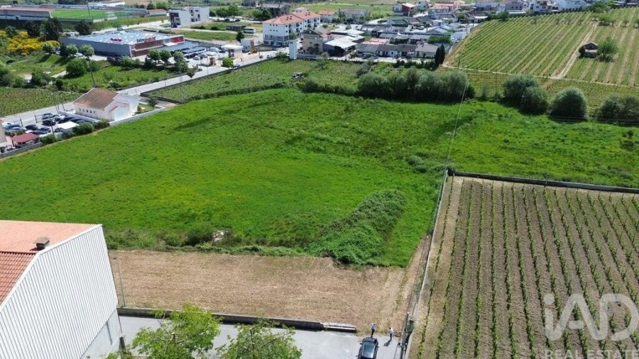 Terreno para Venda em Alijo Foto 5