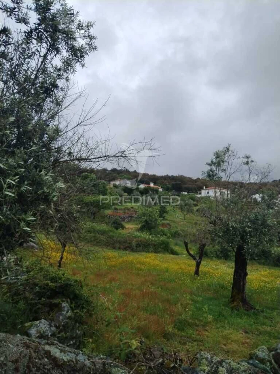 Terreno para Venda em Reguengo e São Julião Foto 3