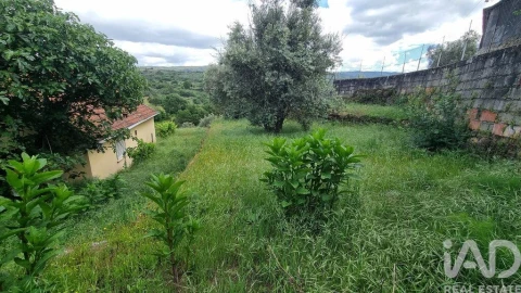 Moradia T3 para Venda em Rapa e Cadafaz