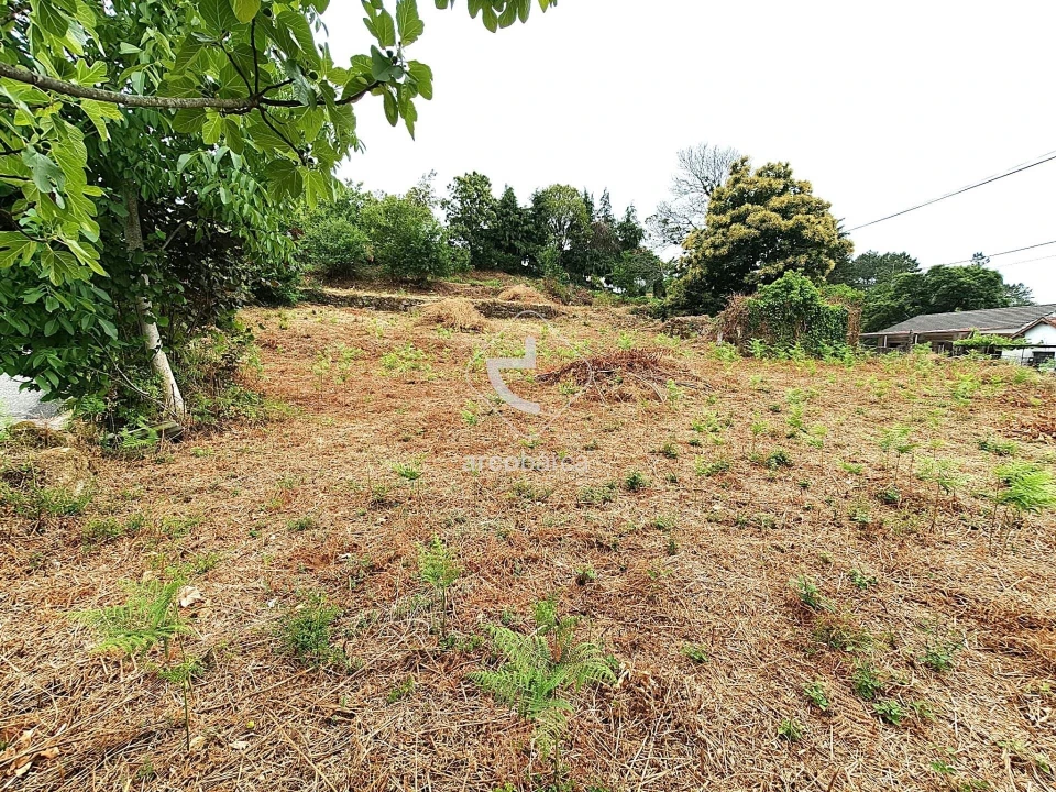 Terreno para Venda em Formariz e Ferreira Foto 5