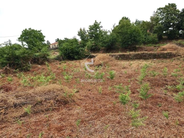 Terreno para Venda em Formariz e Ferreira