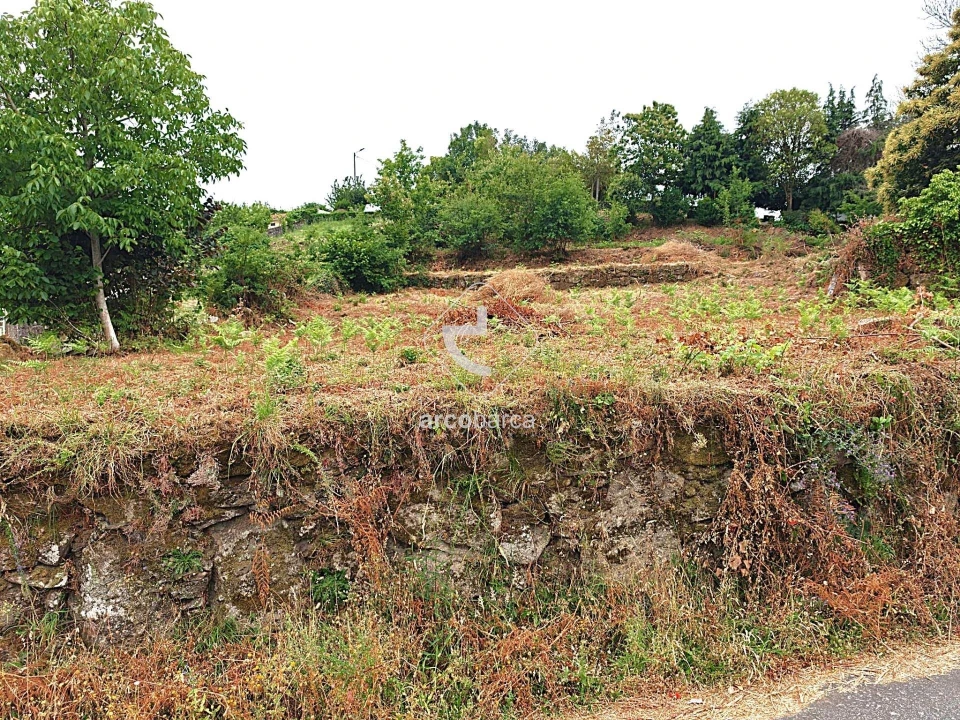 Terreno para Venda em Formariz e Ferreira Foto 4