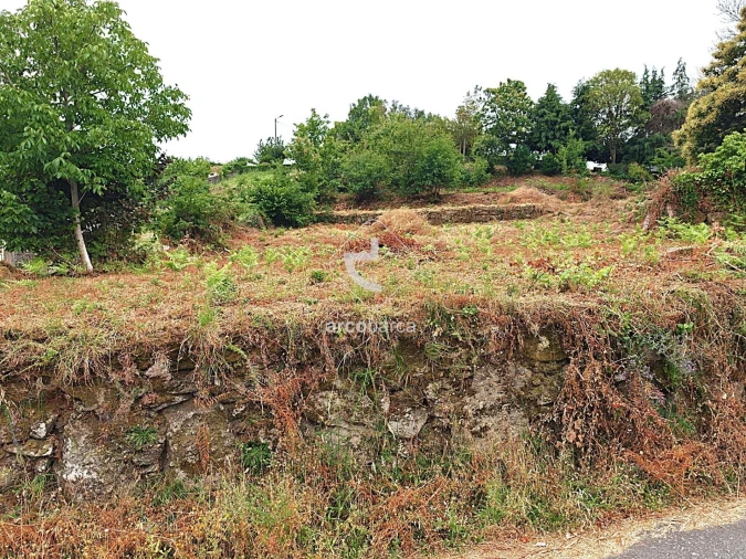 Terreno para Venda em Formariz e Ferreira Foto 4
