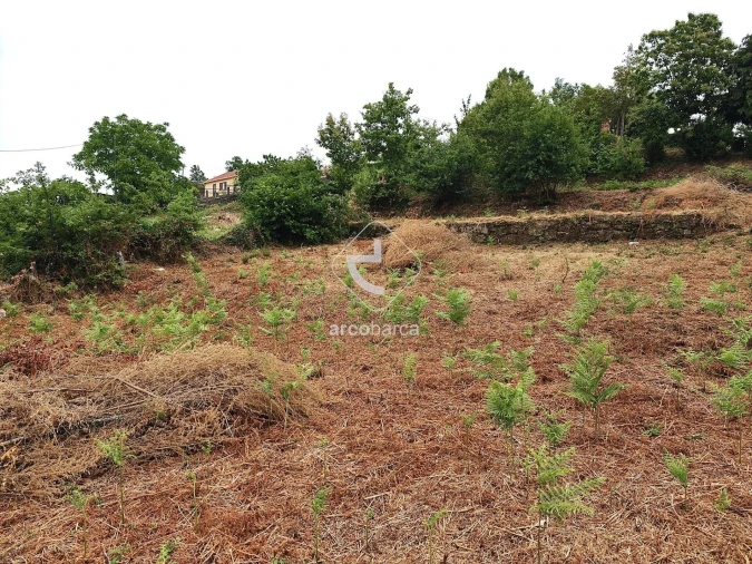 Terreno para Venda em Formariz e Ferreira Foto 2