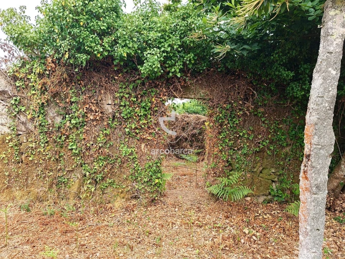 Terreno para Venda em Formariz e Ferreira Foto 7