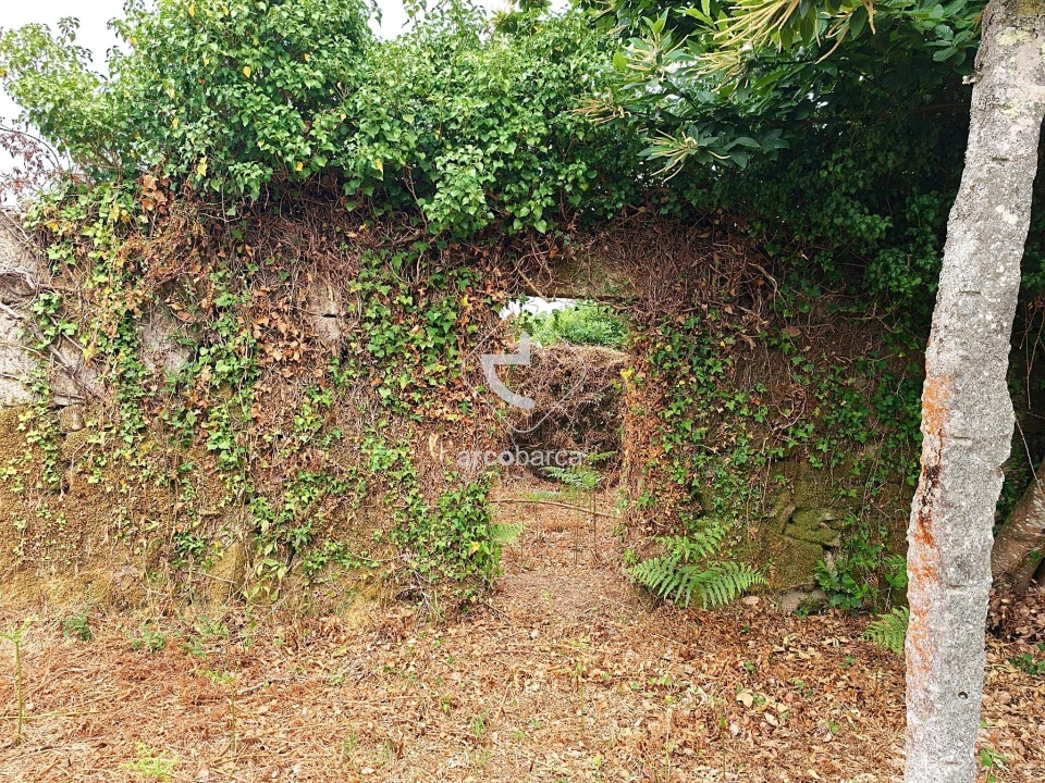 Terreno para Venda em Formariz e Ferreira Foto 7