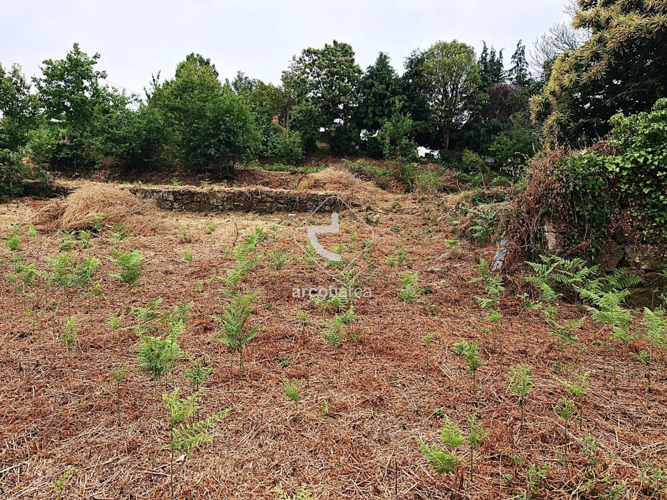 Terreno para Venda em Formariz e Ferreira Foto 6