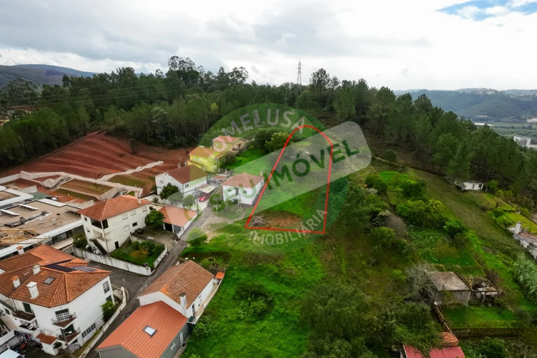 Terreno para Venda em Santo Antonio dos Olivais Foto 7