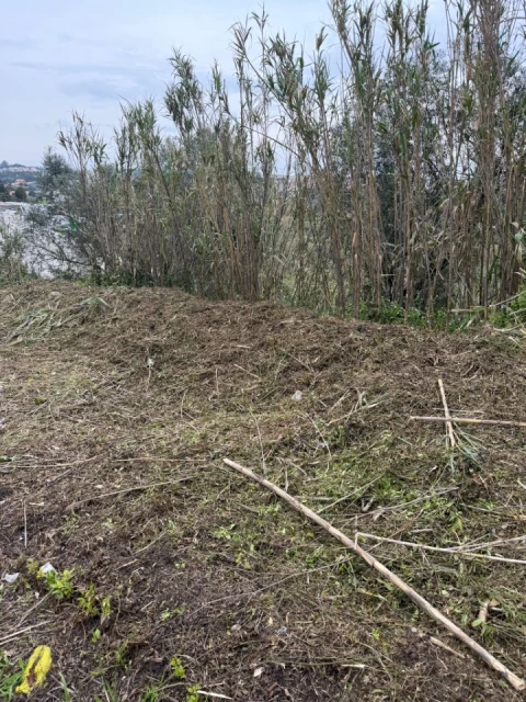 Terreno para Venda em Buarcos