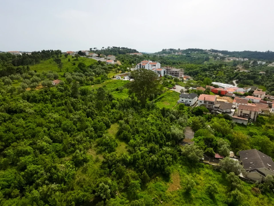 Terreno para Venda em Santa Clara e Castelo Viegas Foto 6