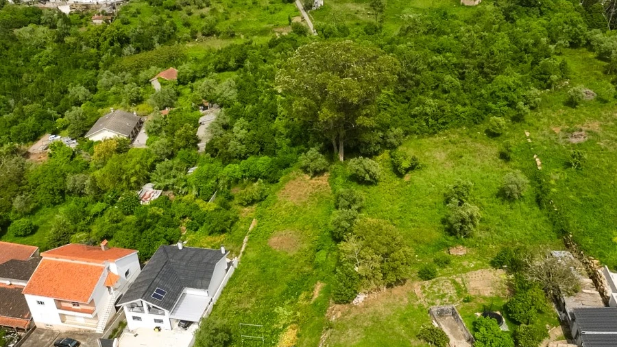 Terreno para Venda em Santa Clara e Castelo Viegas