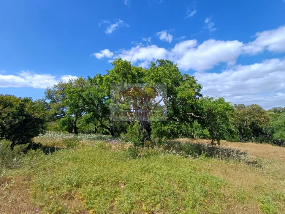 Quinta T2 para Venda em São Francisco da Serra Foto 25