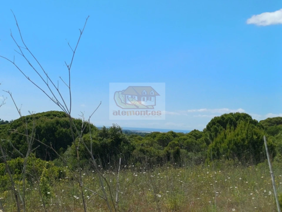 Quinta T2 para Venda em São Francisco da Serra Foto 28