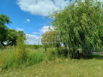 Quinta T2 para Venda em São Francisco da Serra