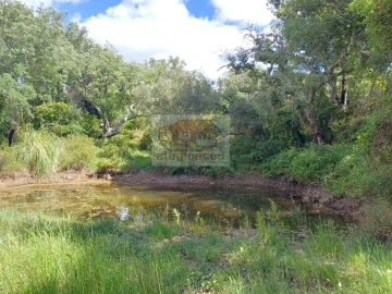 Quinta T2 para Venda em São Francisco da Serra