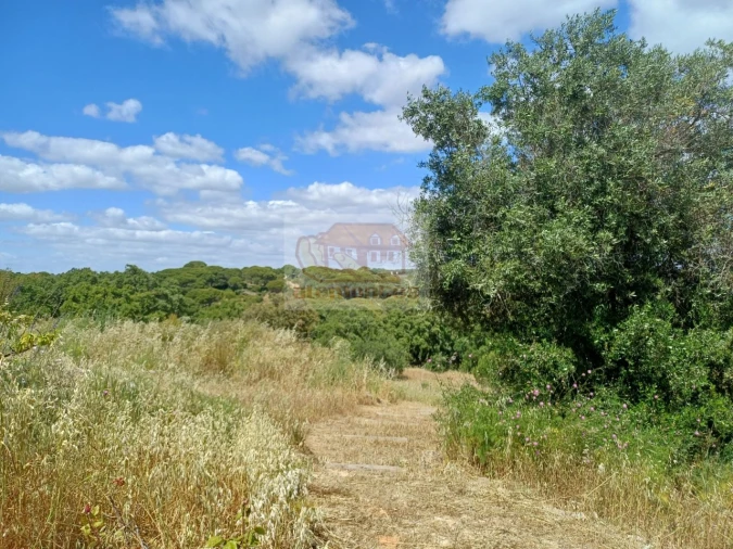 Quinta T2 para Venda em São Francisco da Serra Foto 22