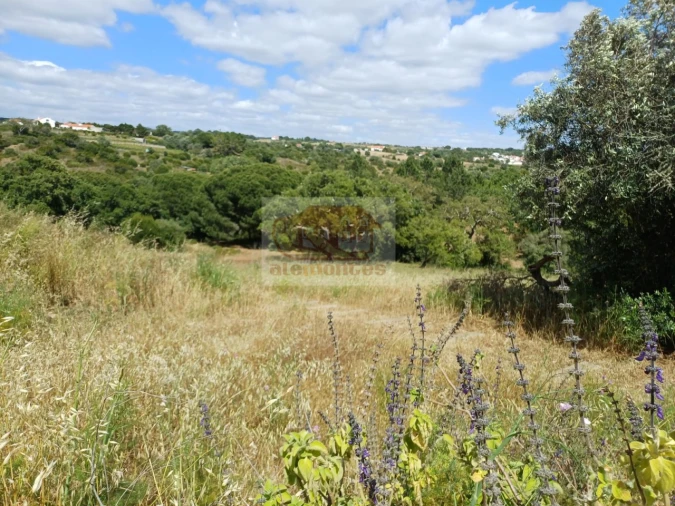 Quinta T2 para Venda em São Francisco da Serra Foto 24