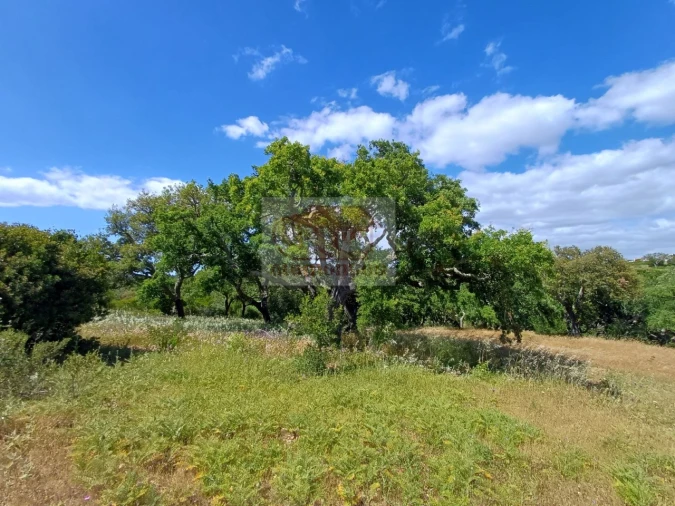 Quinta T2 para Venda em São Francisco da Serra Foto 25