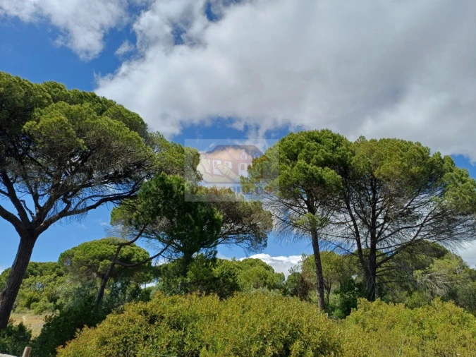 Quinta T2 para Venda em São Francisco da Serra Foto 27
