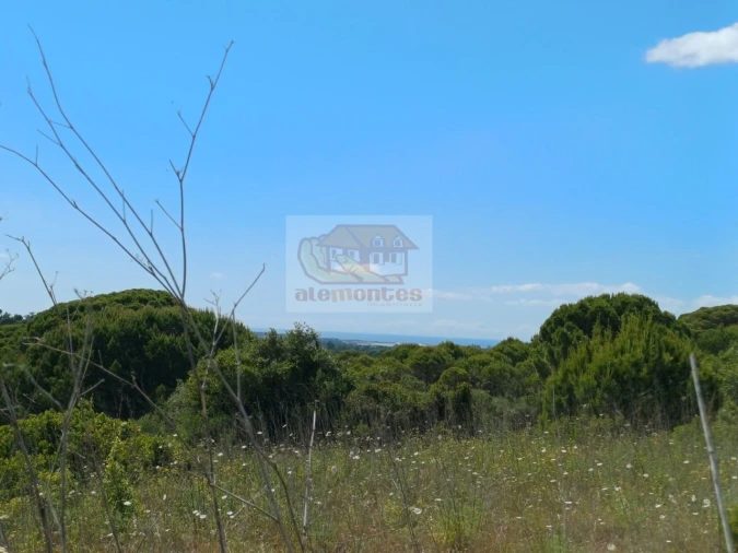 Quinta T2 para Venda em São Francisco da Serra Foto 28