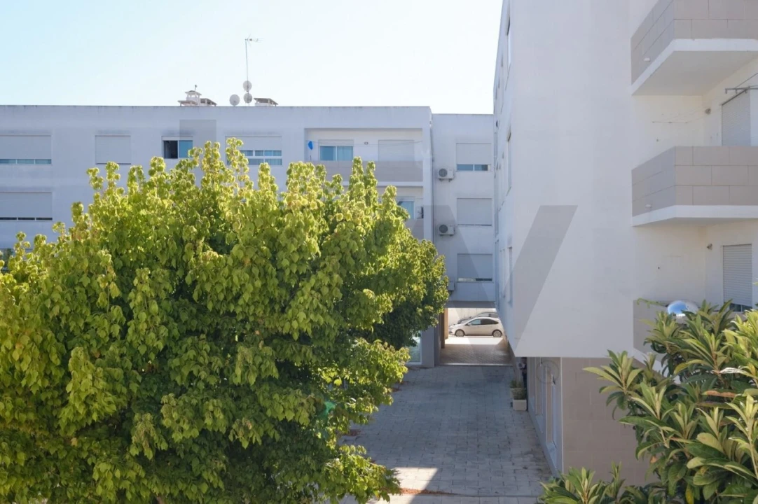 Apartamento T2 para Venda em Grândola e Santa Margarida da Serra Foto 3