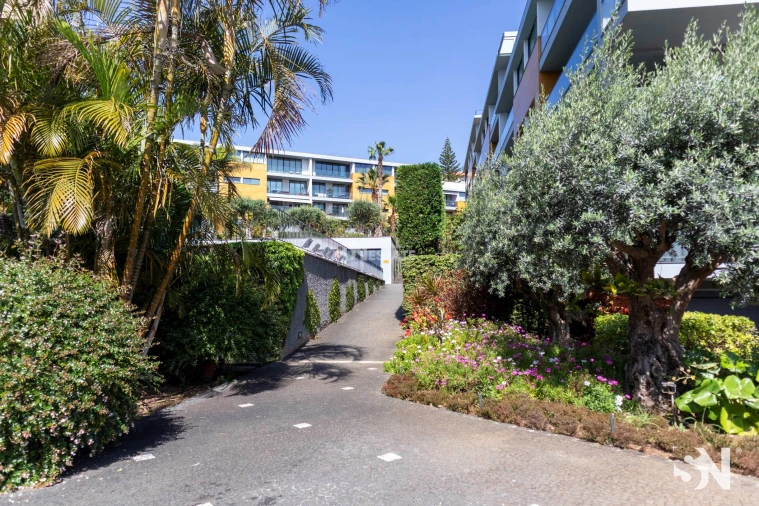 Apartamento T3 para Venda em Funchal (São Pedro) Foto 50