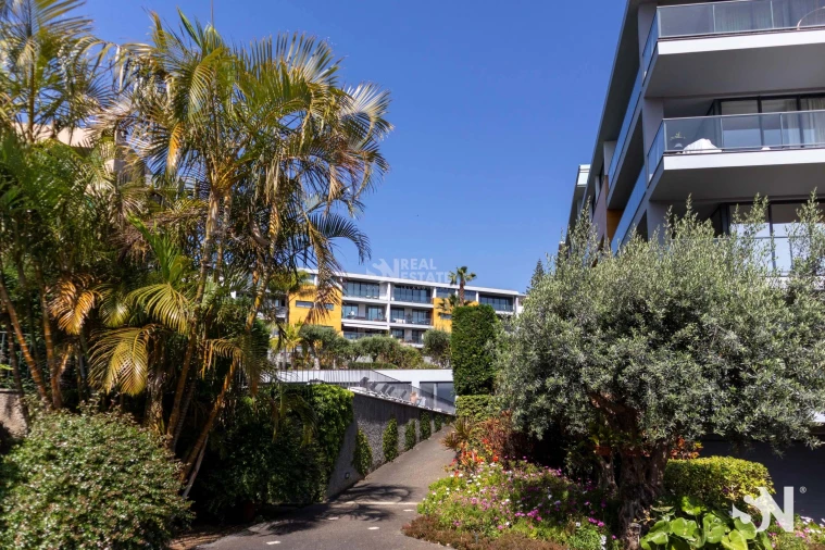 Apartamento T3 para Venda em Funchal (São Pedro) Foto 73