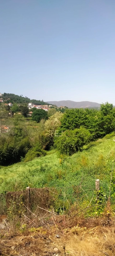 Moradia para Venda em São Pedro do Sul, Várzea e Baiões