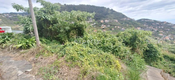 Terreno Agricola ou Rústico para Venda em Campanario
