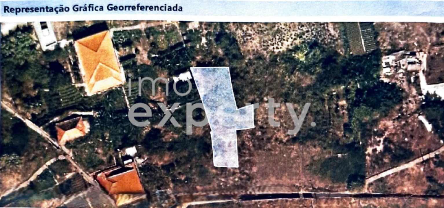 Terreno Agricola ou Rústico para Venda em Campanario Foto 4