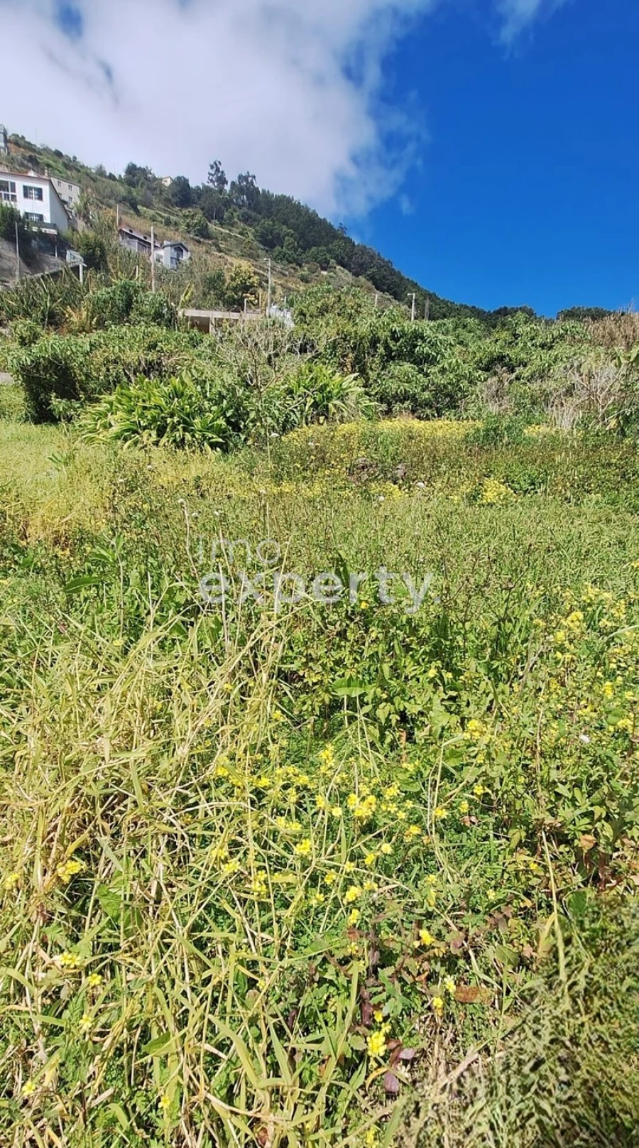 Terreno Agricola ou Rústico para Venda em Campanario Foto 2