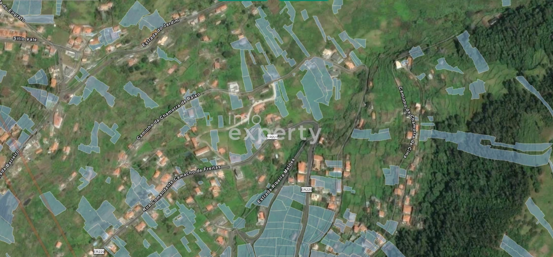 Terreno Agricola ou Rústico para Venda em Campanario Foto 5