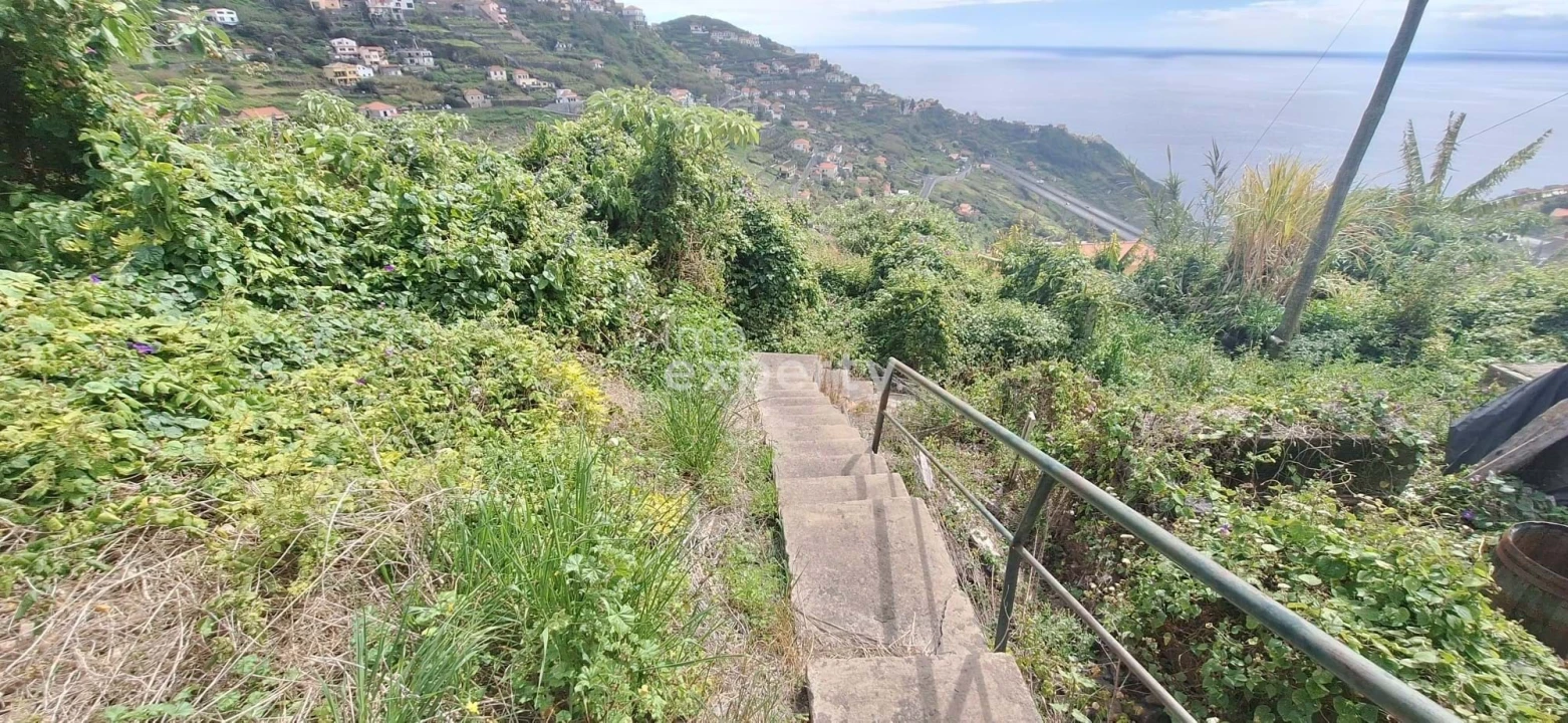 Terreno Agricola ou Rústico para Venda em Campanario Foto 3
