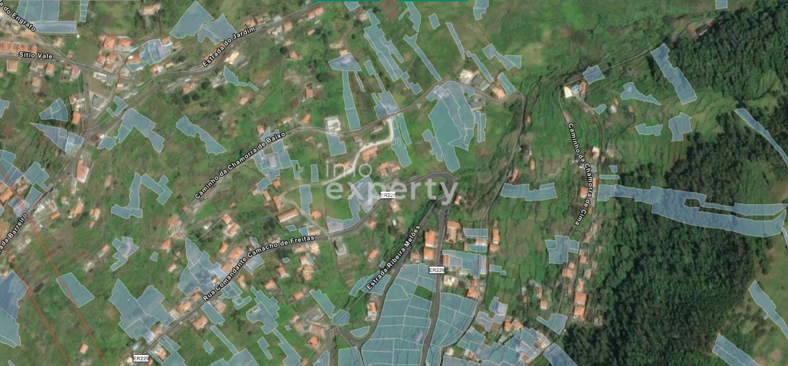 Terreno Agricola ou Rústico para Venda em Campanario Foto 5
