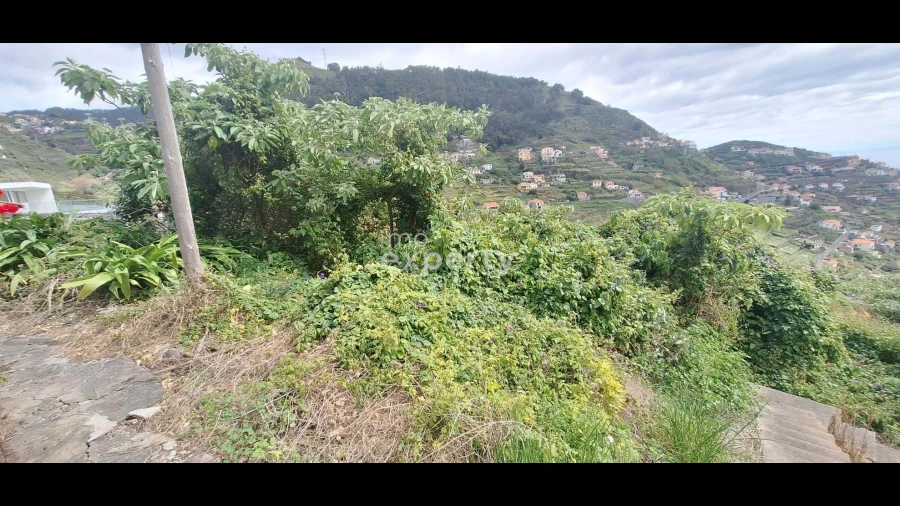 Terreno Agricola ou Rústico para Venda em Campanario