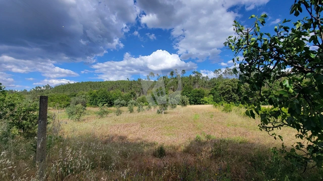 Terreno Agricola ou Rústico para Venda em Sarzedas Foto 18