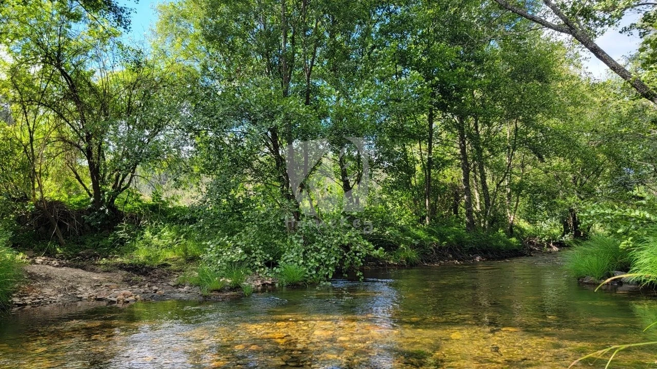 Terreno Agricola ou Rústico para Venda em Sarzedas Foto 3