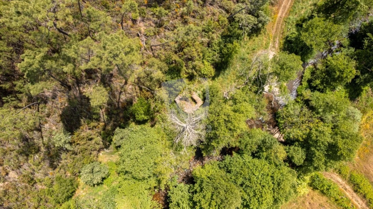 Terreno Agricola ou Rústico para Venda em Sarzedas Foto 39