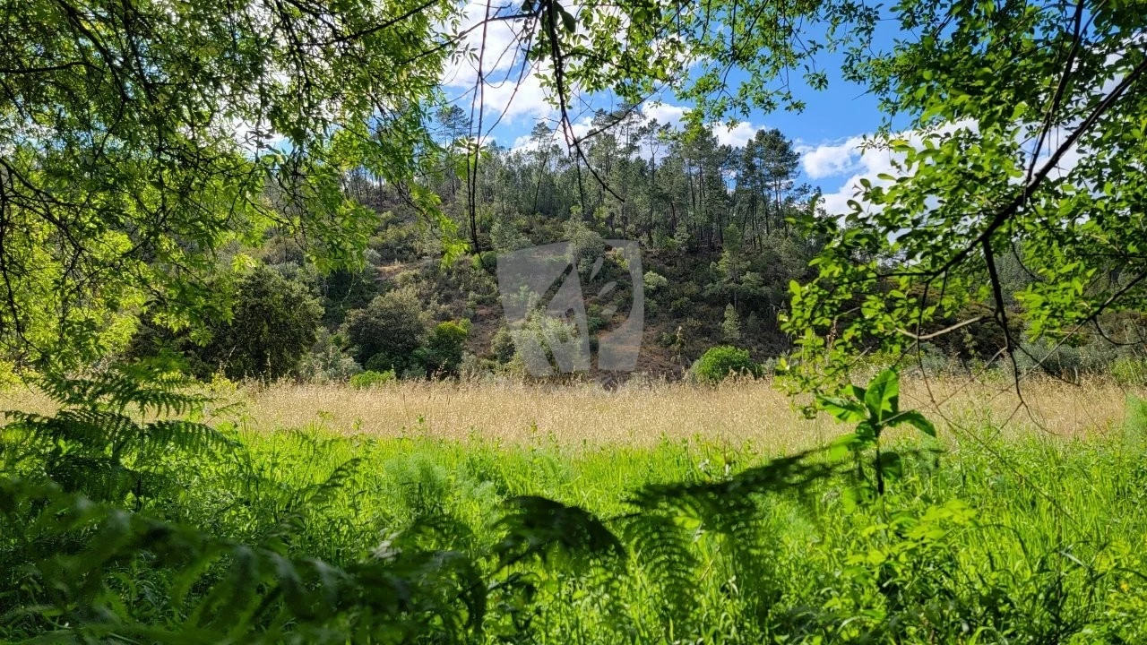 Terreno Agricola ou Rústico para Venda em Sarzedas Foto 32
