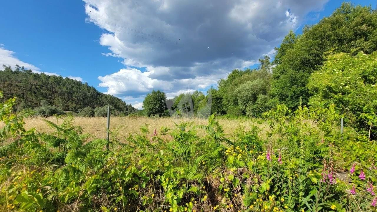 Terreno Agricola ou Rústico para Venda em Sarzedas Foto 10