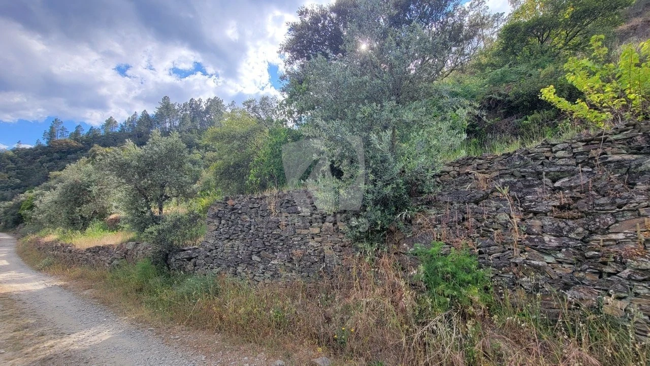 Terreno Agricola ou Rústico para Venda em Sarzedas Foto 20