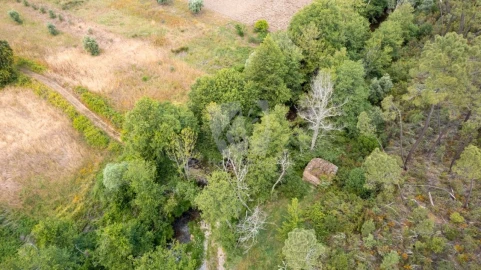 Terreno Agricola ou Rústico para Venda em Sarzedas