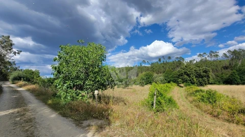 Terreno Agricola ou Rústico para Venda em Sarzedas