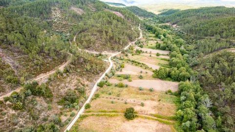 Terreno Agricola ou Rústico para Venda em Sarzedas