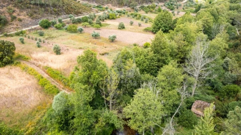 Terreno Agricola ou Rústico para Venda em Sarzedas