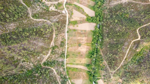 Terreno Agricola ou Rústico para Venda em Sarzedas
