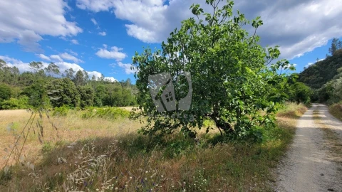 Terreno Agricola ou Rústico para Venda em Sarzedas