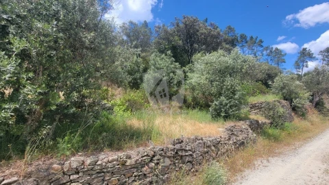 Terreno Agricola ou Rústico para Venda em Sarzedas