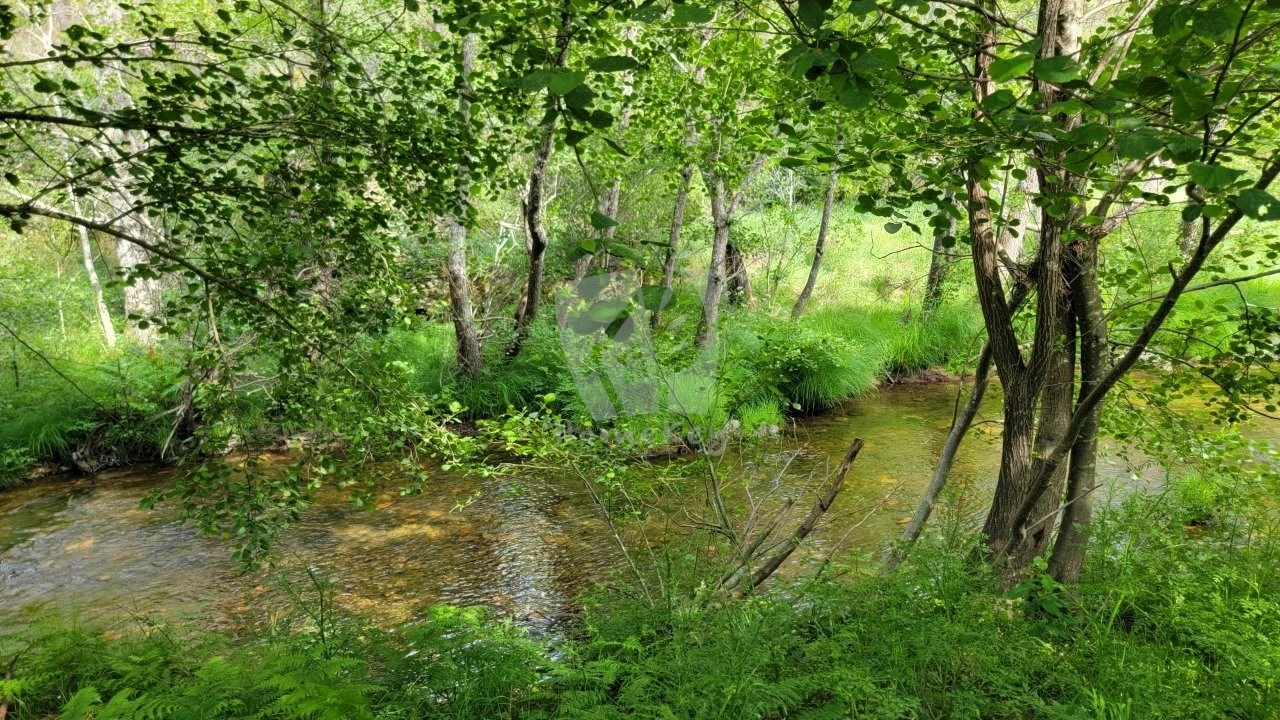 Terreno Agricola ou Rústico para Venda em Sarzedas Foto 33
