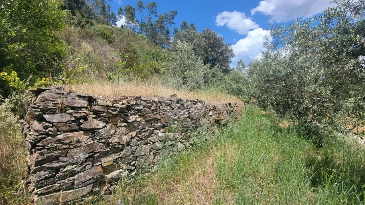Terreno Agricola ou Rústico para Venda em Sarzedas Foto 27
